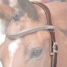 Têtière New York - Jump'In - Collection One