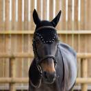 Bonnet Balthazar - Jump'In - Noir