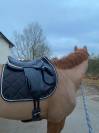 Selle chiberta Lab 