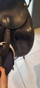 Selle de dressage antares  Signature 17.5