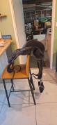 Selle de dressage antares  Signature 17.5