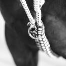 Enrênement corde Canter - Corde en coton tressé