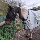 Couverture Bucas Power Turnout Light Bigneck