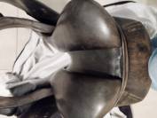 Selle horse pilot 17"