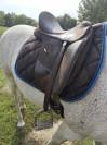 Selle de dressage isabel werth 17.5 pouces