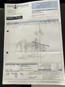 Vente Amortisseur Neuf Bruno Delgrange 