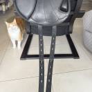 Selle mixte Équipe Expression Mono 17,5”