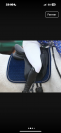 Tapis Kentucky Dressage Bleu