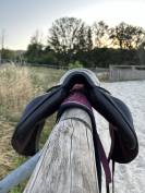 Selle Forestier Boeckelo 