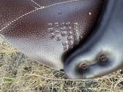 Selle Forestier Boeckelo 