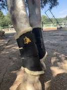 Protecteurs de tendons Trotando Juntos – Confort, sécur