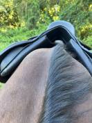 Selle cavalhorse 17pouces arcade interchangeables 
