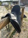 Selle Antares Cadence 17“