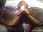 selle Forestier Mixte 