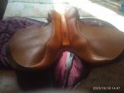 selle Forestier Mixte 