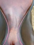 Selle Bruno Delgrange Partition 17”