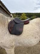 Selle Bruno Delgrange Partition 17”