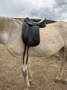 Selle de dressage Forestier Carlos Pinto 16,5" cuir noi