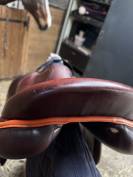 SELLE ANTARES EVOLUTION