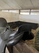 Selle d’obstacle CWD SE02