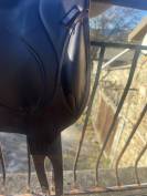 selle chiberta devoucoux 17,5