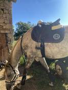 Selle Norton pro mixte 