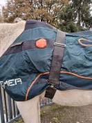 BEMER Horse Set
