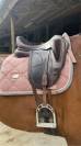 Selle dressage Arion