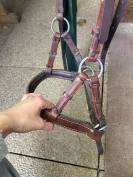 Side pool taille COB