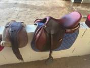 Sella mista CWD  17.5" - 2021