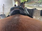 Selle childeric noire taille 17 