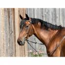 Bridon anatomique sans muserolle Essentiel Confort - TdeT