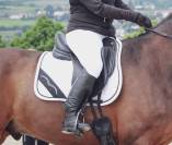 SELLE DRESSAGE MACEL 17,5 p