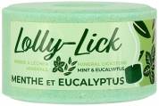 Pierre &agrave; sel Lolly Lick Menthe/Eucalyptus - Hippotonic