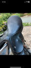 selle de dressage