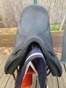 Selle wintec isabell werth 