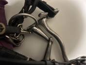 Bride complète poney 