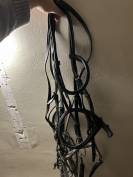 Bride complète poney 