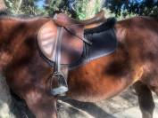 Sella da salto ostacoli Devoucoux Biarritz 18" - 2020