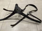 Collier de chasse Protanner – Marron