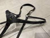 Collier de chasse Protanner – Marron