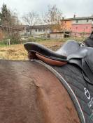 Sella Macel misura 18