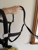 lot de 2 licols noir 