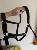 lot de 2 licols noir 