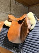 Selle Forestier 2010 17,5