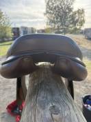 Selle d’obstacle Équipe Expression 17,5´´ 