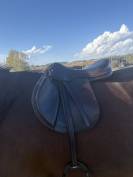 Selle d’obstacle Équipe Expression 17,5´´ 