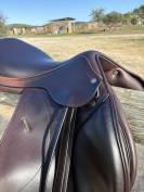 Selle d’obstacle Équipe Expression 17,5´´ 