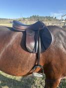 Selle d’obstacle Équipe Expression 17,5´´ 