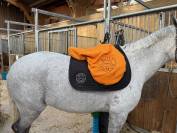 selle butet plate 17 pouces 2021